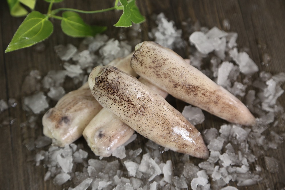 Whole Round Squid with Roe
